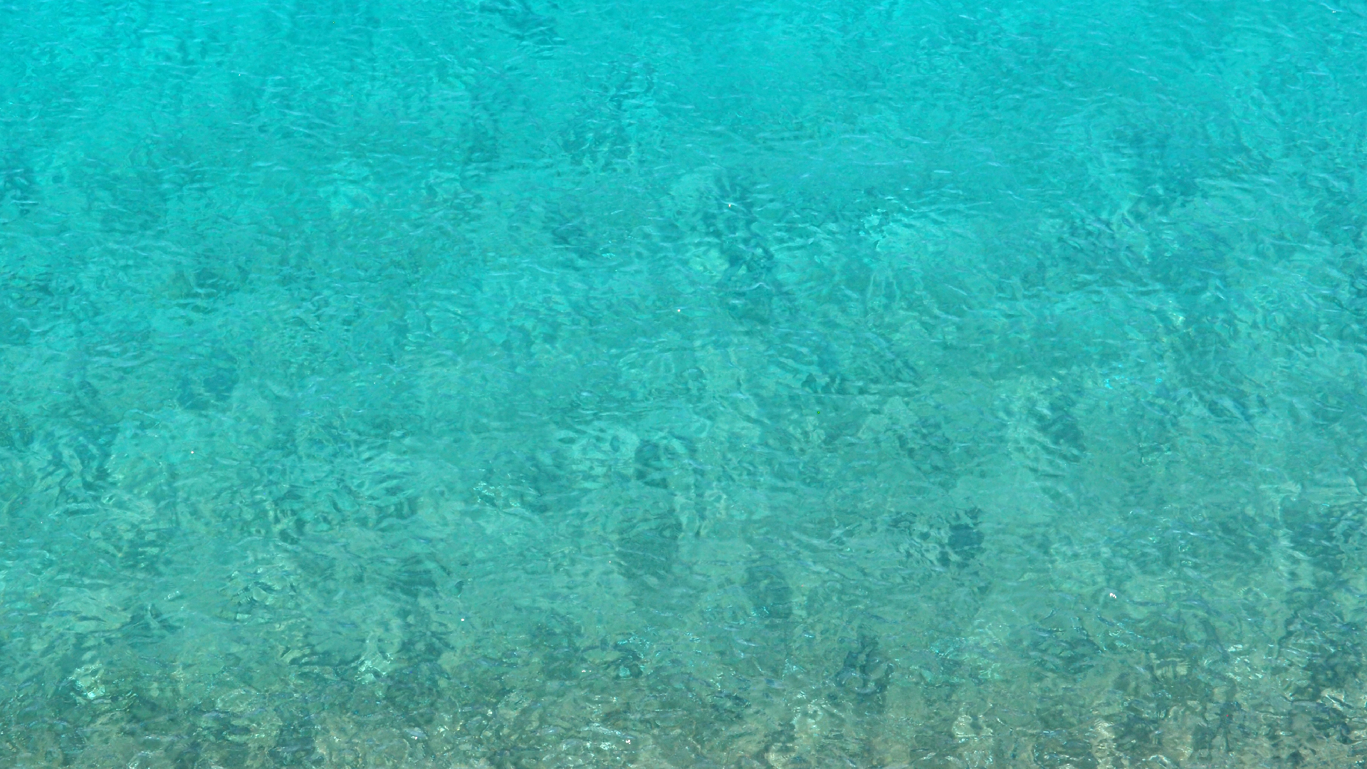 2022-10-22 09 Uhr 55 Wellen (Foto, Video)